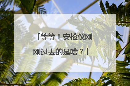 等等！安检仪刚刚过去的是啥？