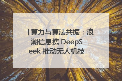 算力与算法共振：浪潮信息携 DeepSeek 推动无人机技术在舟山落地