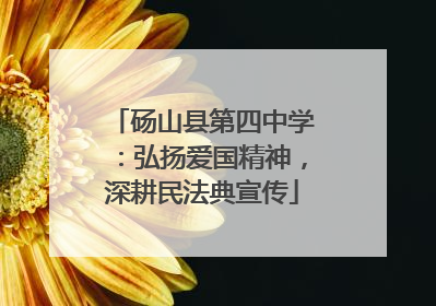 砀山县第四中学：弘扬爱国精神，深耕民法典宣传