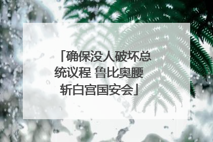 确保没人破坏总统议程 鲁比奥腰斩白宫国安会