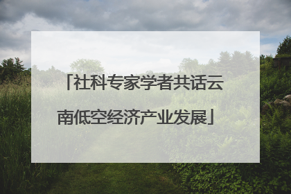 社科专家学者共话云南低空经济产业发展