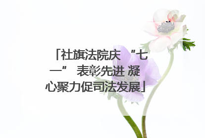 社旗法院庆 “七一” 表彰先进 凝心聚力促司法发展