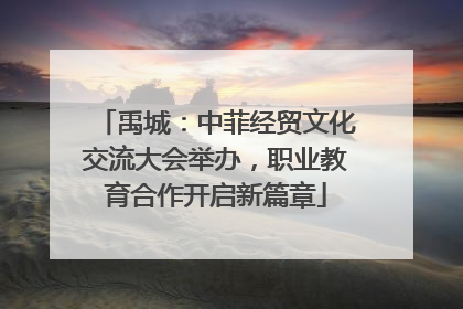 禹城：中菲经贸文化交流大会举办，职业教育合作开启新篇章