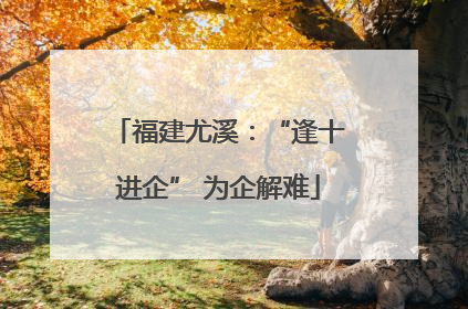 福建尤溪：“逢十进企” 为企解难