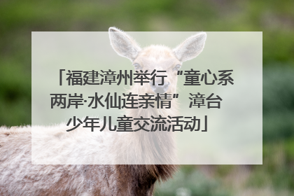福建漳州举行“童心系两岸·水仙连亲情”漳台少年儿童交流活动