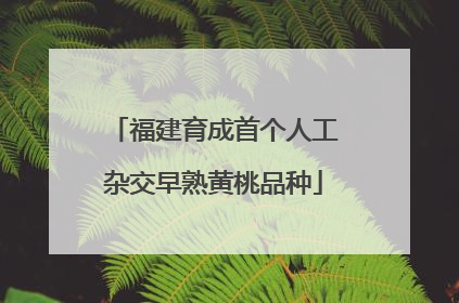 福建育成首个人工杂交早熟黄桃品种