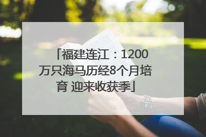 福建连江：1200万只海马历经8个月培育 迎来收获季