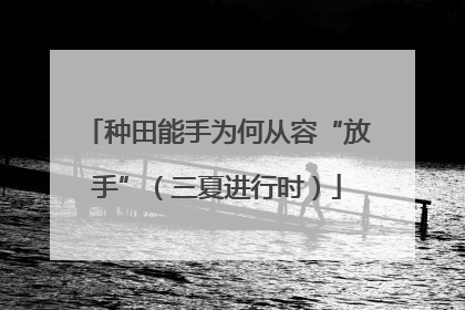 种田能手为何从容“放手”（三夏进行时）
