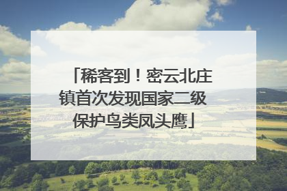 稀客到！密云北庄镇首次发现国家二级保护鸟类凤头鹰