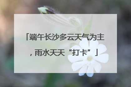 端午长沙多云天气为主，雨水天天“打卡”