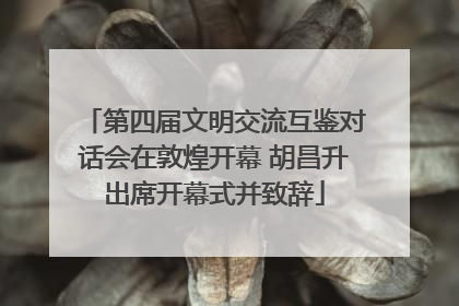 第四届文明交流互鉴对话会在敦煌开幕 胡昌升出席开幕式并致辞