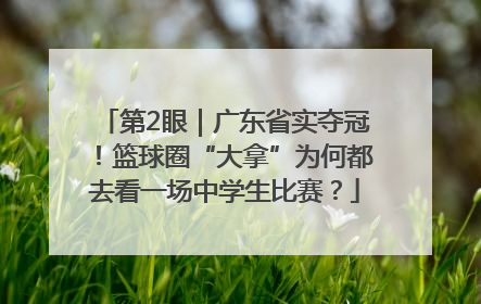 第2眼｜广东省实夺冠！篮球圈“大拿”为何都去看一场中学生比赛？