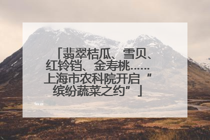 翡翠桔瓜、雪贝、红铃铛、金寿桃……上海市农科院开启“缤纷蔬菜之约”