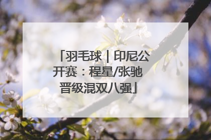 羽毛球｜印尼公开赛：程星/张驰晋级混双八强