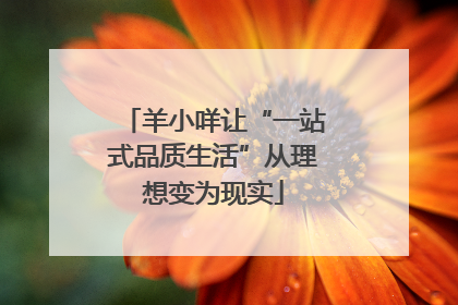 羊小咩让“一站式品质生活”从理想变为现实