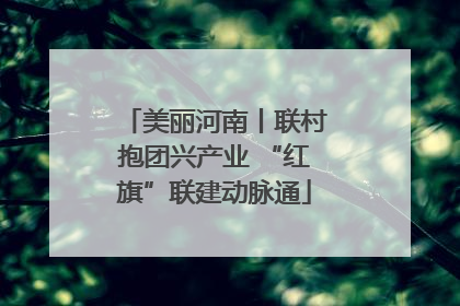 美丽河南丨联村抱团兴产业 “红旗”联建动脉通