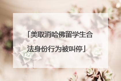 美取消哈佛留学生合法身份行为被叫停