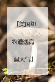 美国纽约遭遇高温天气