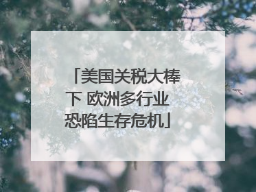 美国关税大棒下 欧洲多行业恐陷生存危机