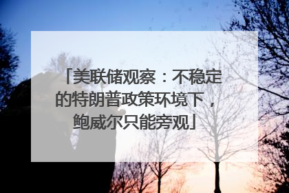 美联储观察：不稳定的特朗普政策环境下，鲍威尔只能旁观