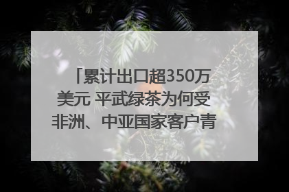 累计出口超350万美元 平武绿茶为何受非洲、中亚国家客户青睐？｜发布会观察