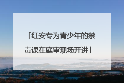 红安专为青少年的禁毒课在庭审现场开讲