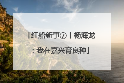红船新事⑦丨杨海龙：我在嘉兴育良种