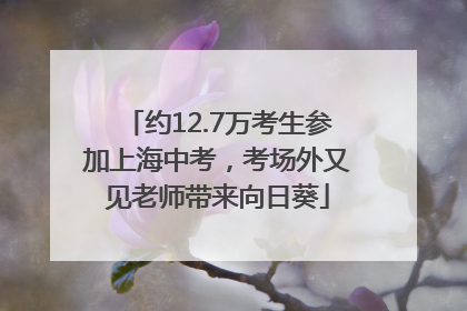 约12.7万考生参加上海中考，考场外又见老师带来向日葵