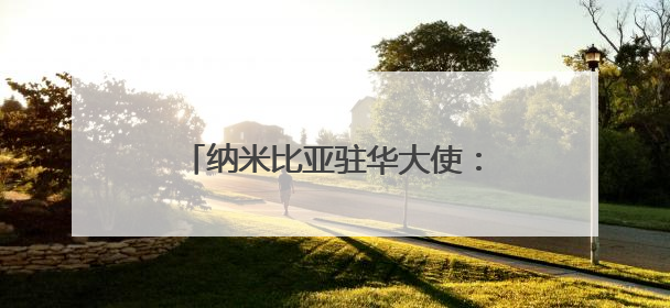 纳米比亚驻华大使：中国经验表明，现代化不光是经济腾飞