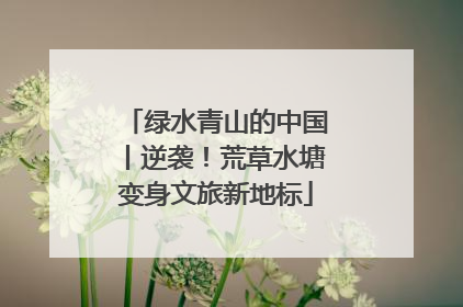 绿水青山的中国丨逆袭！荒草水塘变身文旅新地标