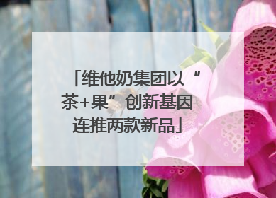 维他奶集团以“茶+果”创新基因连推两款新品