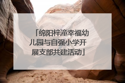 绵阳梓潼幸福幼儿园与自强小学开展支部共建活动