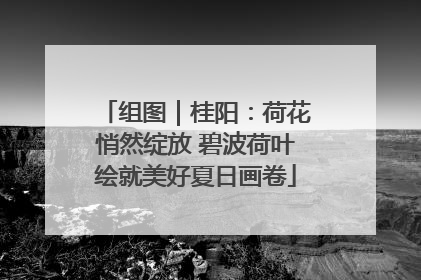 组图｜桂阳：荷花悄然绽放 碧波荷叶绘就美好夏日画卷