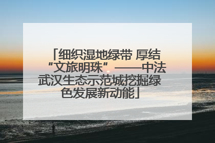 细织湿地绿带 厚结“文旅明珠”——中法武汉生态示范城挖掘绿色发展新动能