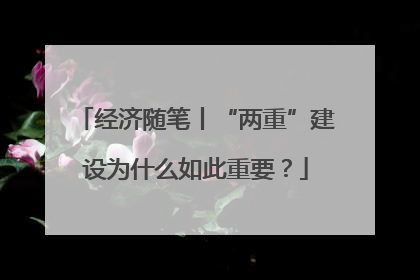 经济随笔丨“两重”建设为什么如此重要？