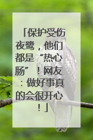 保护受伤夜鹭，他们都是“热心肠”！网友：做好事真的会很开心！