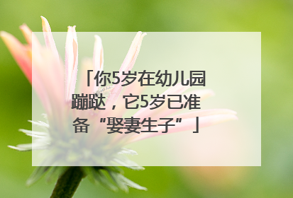 你5岁在幼儿园蹦跶，它5岁已准备“娶妻生子”
