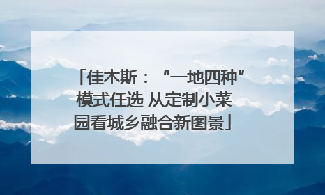 佳木斯：“一地四种” 模式任选 从定制小菜园看城乡融合新图景