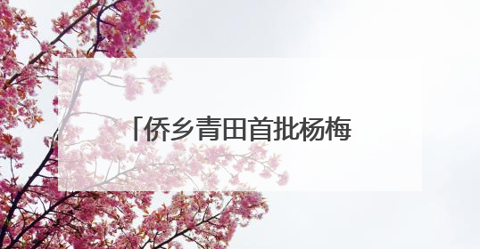侨乡青田首批杨梅启程新加坡 保鲜提质售出“金果果”