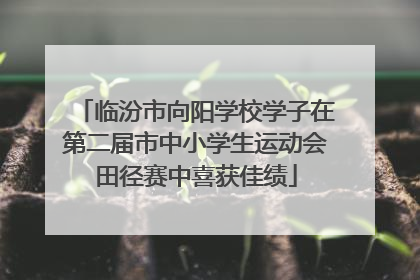 临汾市向阳学校学子在第二届市中小学生运动会田径赛中喜获佳绩