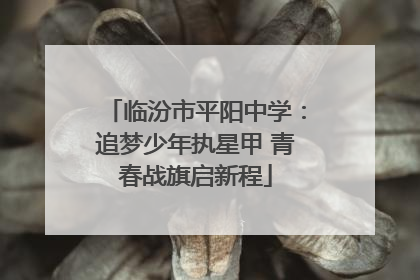 临汾市平阳中学：追梦少年执星甲 青春战旗启新程