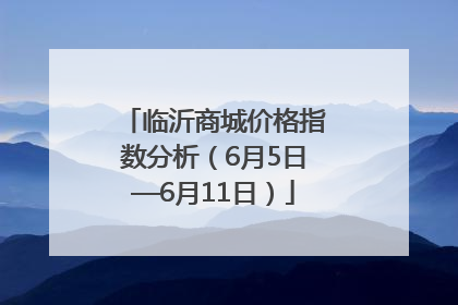 临沂商城价格指数分析（6月5日—6月11日）
