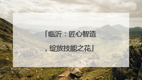 临沂：匠心智造，绽放技能之花