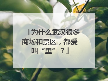 为什么武汉很多商场和景区，都爱叫“里”？