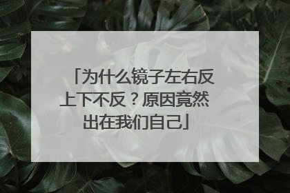 为什么镜子左右反上下不反？原因竟然出在我们自己