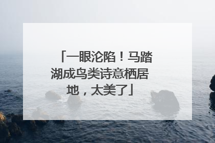 一眼沦陷！马踏湖成鸟类诗意栖居地，太美了