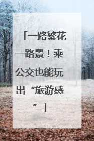 一路繁花一路景！乘公交也能玩出“旅游感”