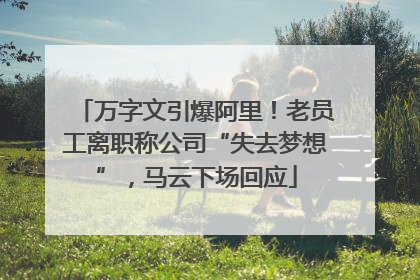 万字文引爆阿里！老员工离职称公司“失去梦想”，马云下场回应