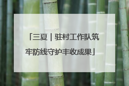 三夏｜驻村工作队筑牢防线守护丰收成果