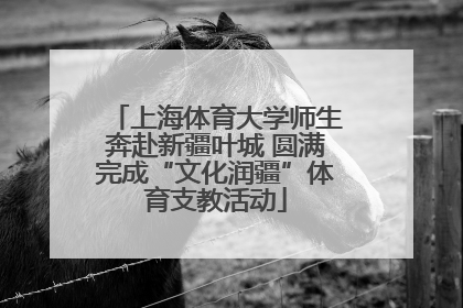 上海体育大学师生奔赴新疆叶城 圆满完成“文化润疆”体育支教活动